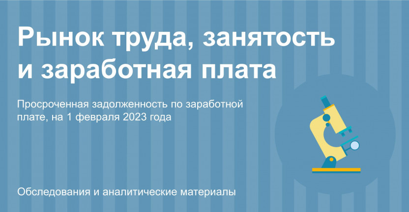 О просроченной задолженности предприятий и организаций г. Улан-Удэ по выплате заработной платы на 1 февраля 2023 года